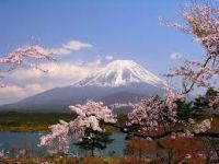 Tour du lịch Nhật Bản - Mùa Hoa Anh Đào